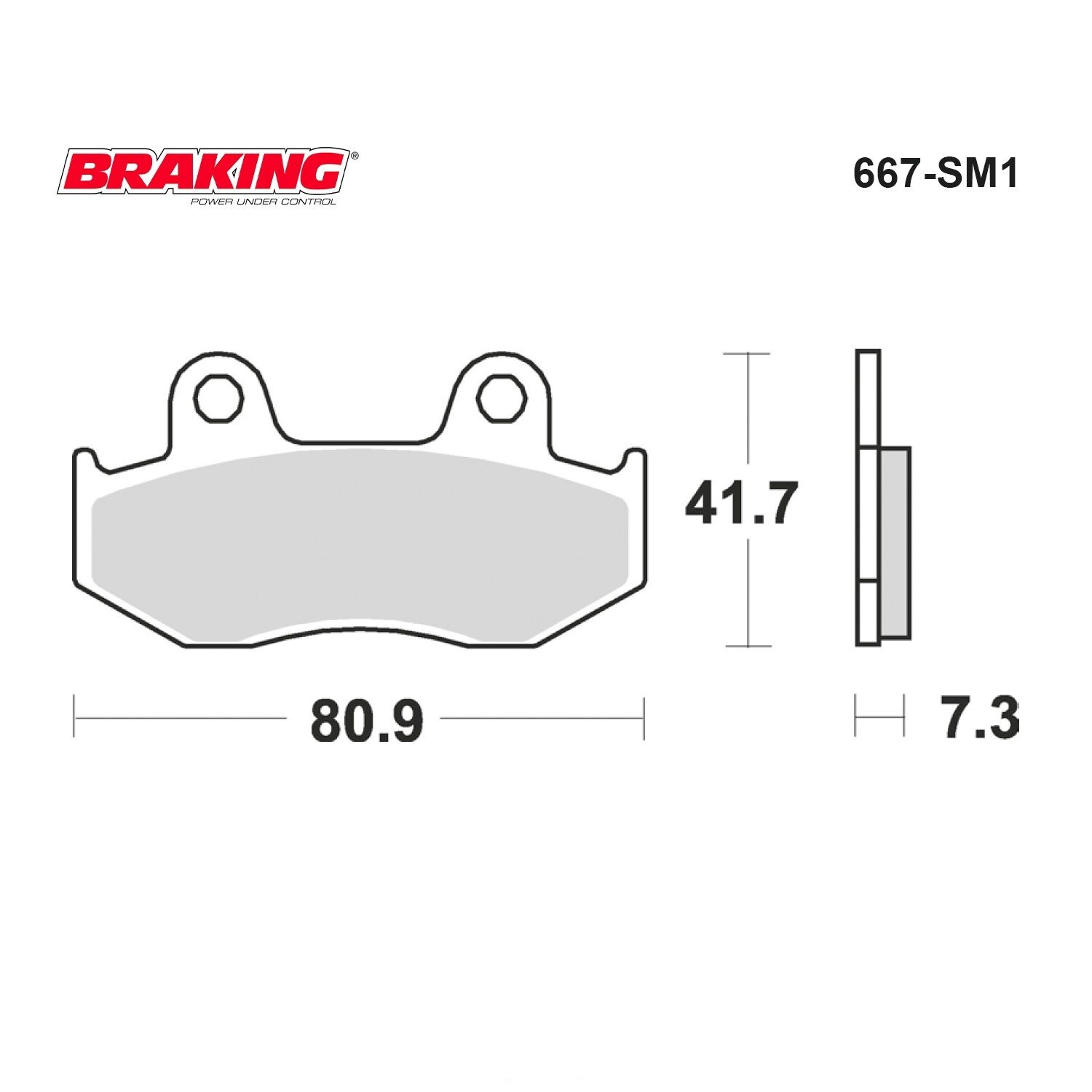 PS%20150%20%20%20%20SH%20150%20%20%20DYLAN%20%20150%20%20%20Braking%20667SM1%20YARI%20METALİK%20(ÖN)FREN%20BALATASI