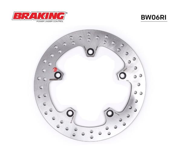 F650/700/800/850 /900   S1000 XR   K1200 R/S   R1200 GS/ADV/RALLY    R1200 R/RT/ST   R NINE T     K1300 R/S   (BRAKING BW06RI) YUVARLAK ARKA FREN DİSKİ